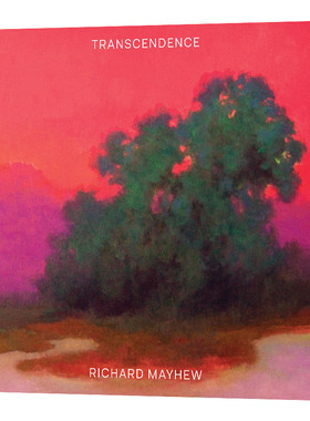 Transcendence  超然存在 风景画画家理查德·梅休Richard Mayhew 艺术画册进口原版英文书籍