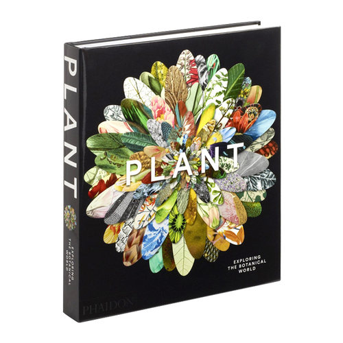 Plant: Exploring the Botanical World植物：探索植物世界进口原版英文书籍