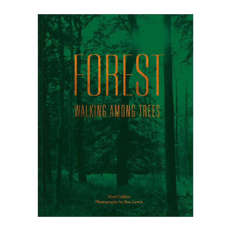 英文原版 Forest Walking Among Trees 林中漫步 精装树木科普摄影指南 英文版 进口英语原版书籍