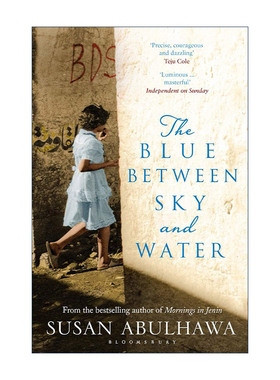 英文原版 The Blue Between Sky and Water 蓝天与水之间的蓝色 大卫的伤疤同作者 苏珊·阿布哈瓦 巴勒斯坦裔作家 中东文学
