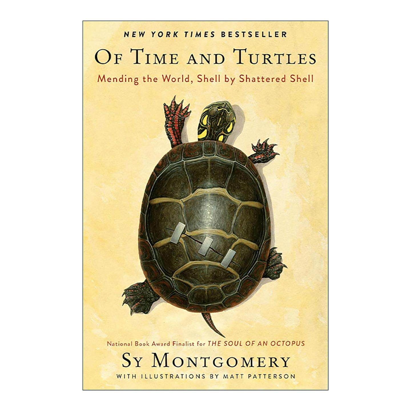 英文原版 Of Time and Turtles 与龟同在 用破碎的壳一块块修补世界 受伤海龟的暖心疗愈记 美国知名博物学家Sy Montgomery 英文版