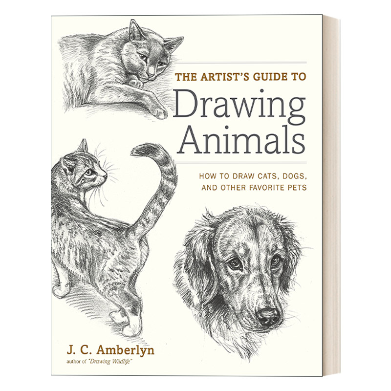 英文原版 The Artist's Guide to Drawing Animals 动物绘画技巧指南 J.C.Amberlyn 英文版 进口英语原版书籍