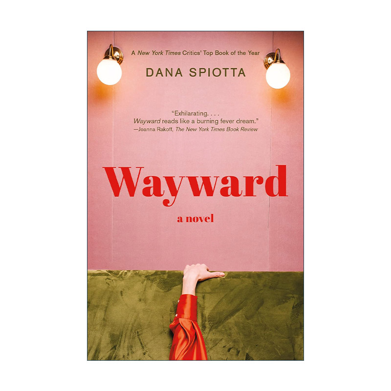 英文原版 Wayward 反复无常 女性小说 Dana Spiotta 英文版 进口英语原版书籍