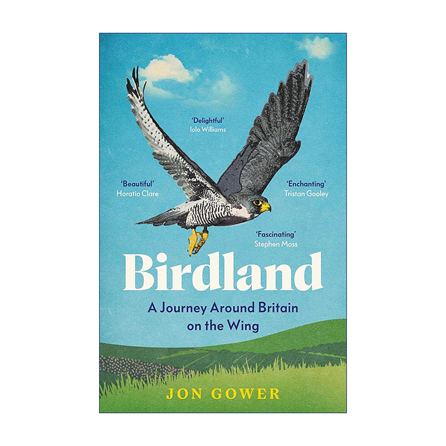 英文原版 Birdland 鸟之国度 飞越不列颠的旅程 自然文学 旅行纪实 观鸟 Jon Gower 英文版 进口英语原版书籍