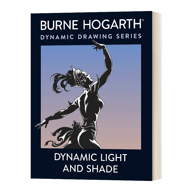 Dynamic Light and Shade 动态的光和影进口原版英文书籍