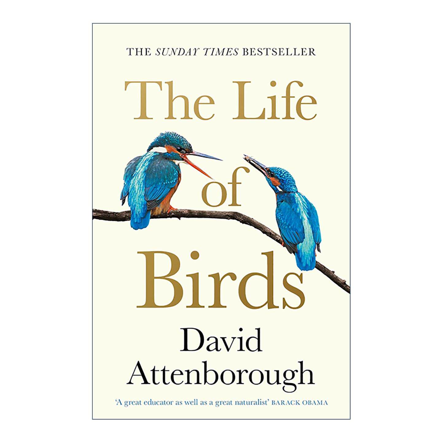 英文原版 The Life Of Birds 飞鸟传 大卫·爱登堡的鸟类世界 经典BBC自然纪录片 英文版 进口英语原版书籍