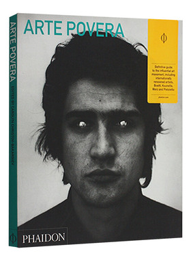 Arte Povera (Abridged Edition) 贫穷艺术进口原版英文书籍