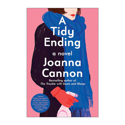 英文原版 A Tidy Ending 整洁的结局 乔安娜·坎农悬疑新作品 英文版 进口英语原版书籍