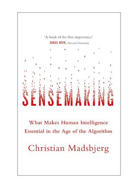 英文原版 Sensemaking 意会 算法时代的人文力量 英文版 进口英语原版书籍