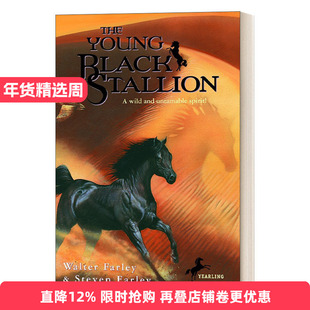 英文原版 The Young Black Stallion 黑神驹系列 年轻的黑神驹 野性而不可驯服的灵魂! Walter Farley 小说 英文版 进口英语书籍