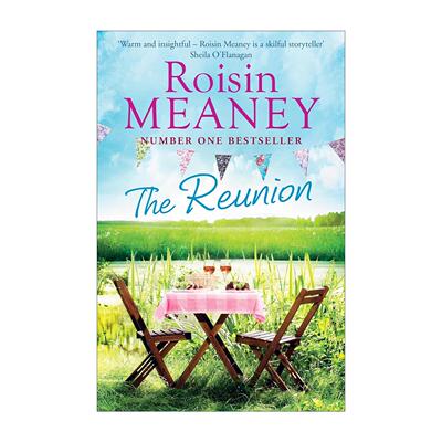 英文原版 The Reunion 毕业十年再相遇 中年版致青春 罗辛·米尼 Roisin Meaney 英文版 进口英语原版书籍