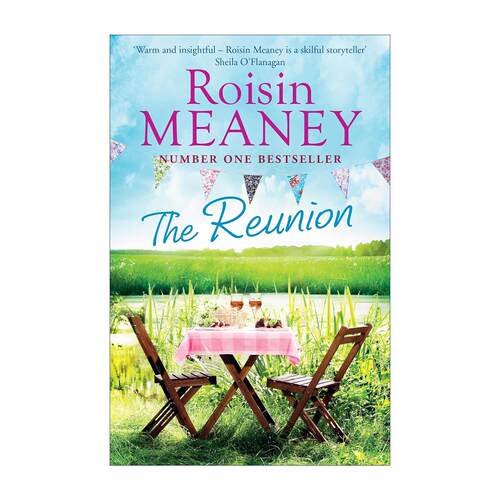 英文原版 The Reunion 毕业十年再相遇 中年版致青春 罗辛·米尼 Roisin Meaney 英文版 进口英语原版书籍