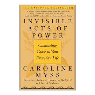 英文版 书籍 力量 给予之心 隐形 Acts Power 进口英语原版 英文原版 能量 Invisible