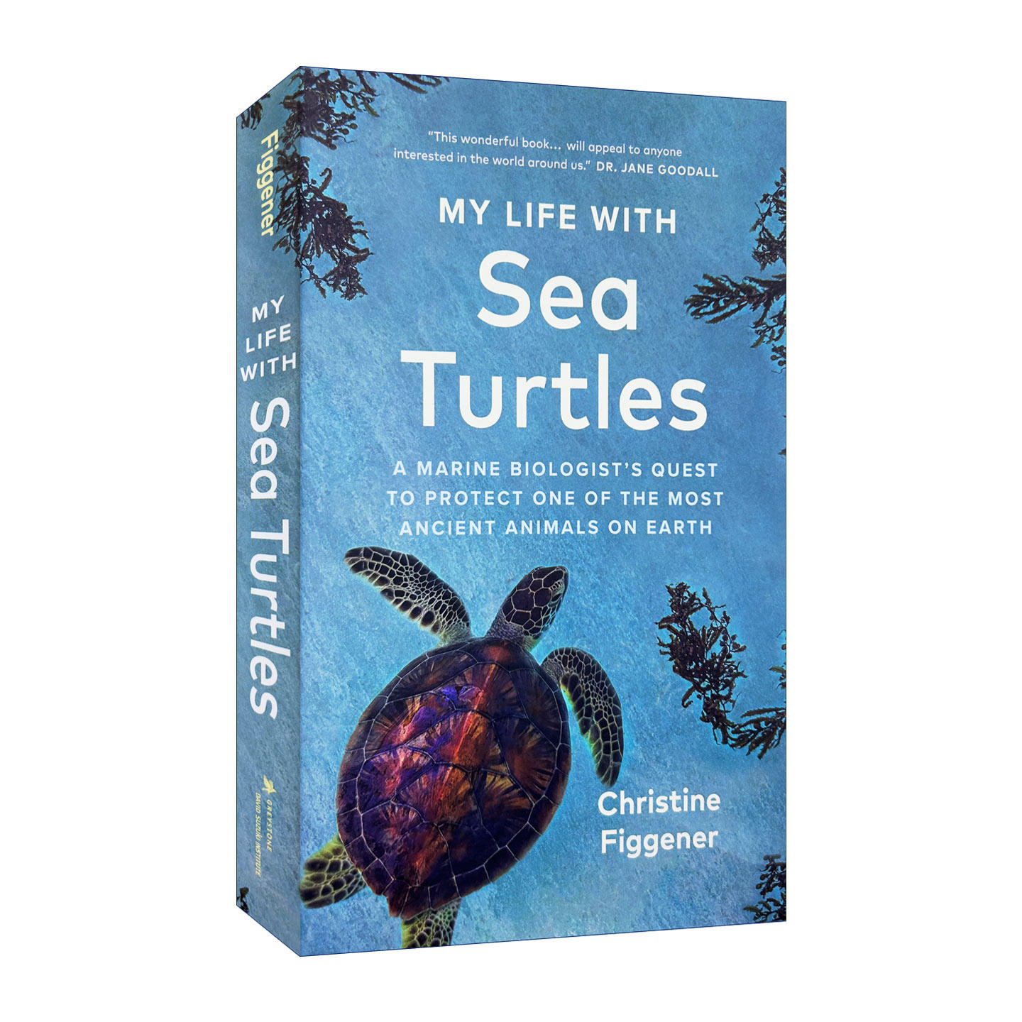 英文原版 My Life with Sea Turtles 我与海龟的生活 海洋生物学家Christine Figgener 环境保护 自然科学 精装 进口英语原版书籍
