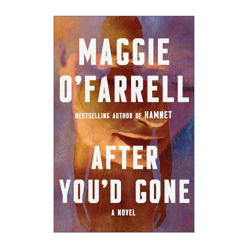 After You'd Gone 你走以后 Hamnet哈姆奈特作者Maggie O'Farrell进口原版英文书籍
