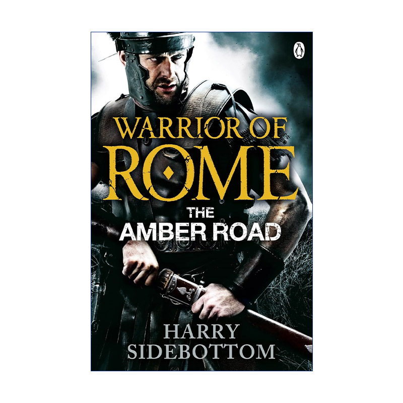英文原版 Warrior of Rome VI The Amber Road 罗马战士VI 琥珀之路 哈里·西德博特姆 英文版 进口英语原版书籍