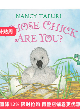 英文原版绘本 Whose Chick Are You? 你是谁的小宝宝 凯迪克大奖作家Nancy Tafuri 纸板书绘本 英文版 进口英语原版书籍