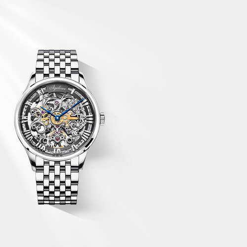 艾戈勒品牌男士潮流全自动手表