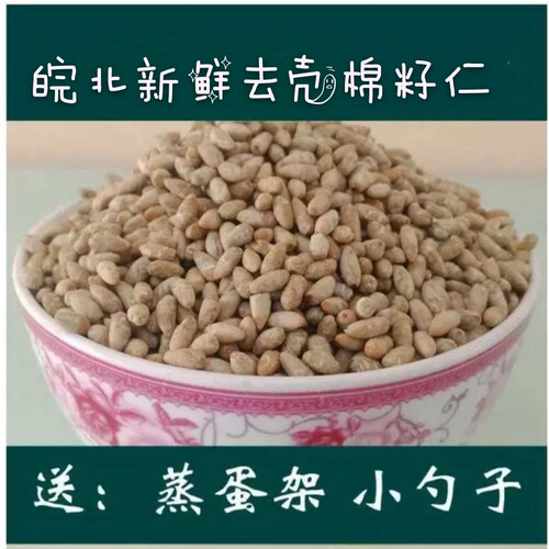 新棉花籽仁当季棉仁棉花种子生棉籽仁棉籽棉仁去壳棉花籽
