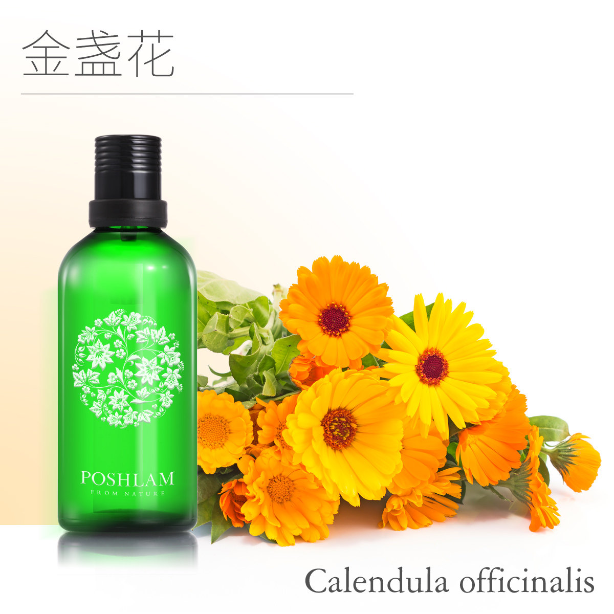 宝琪兰金盏花浸泡油 舒缓滋养晒后修护温和滋润基础油 满就送好礼