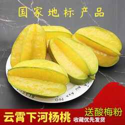 树上熟下河杨桃新鲜水果当季现摘红龙洋桃云霄水果特产