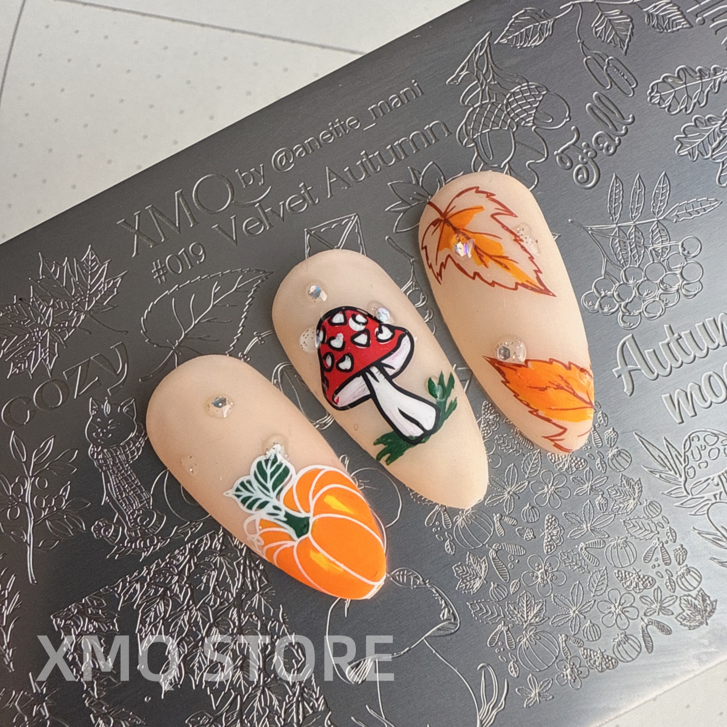 【小麻雀美甲】印花钢板树叶蘑菇转印模板南瓜蝴蝶美甲工具秋冬