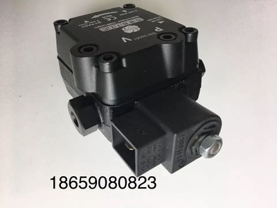 法国正品SUNTEC桑泰克油泵AS47A1536意大利百得、意高燃烧机