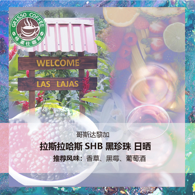 格莱仕哥斯达黎加SHB拉斯拉黑珍珠日晒甜感手冲美式咖啡生豆1kg
