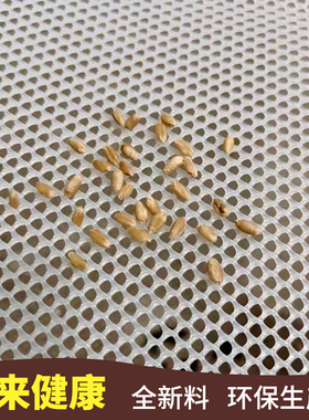 加厚加密塑料阳台防护网封窗户防掉防盗窗拦N猫护板养蜂胡蜂宠物