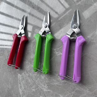 摘果剪采果葡萄剪稀果剪果剪子花剪剪桔子神器剪刀采摘柑橘园艺