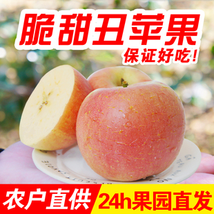 山西运城临猗坡上丑苹果冰糖心红富士羊奶老树水果非昭通洛川阿克