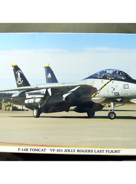 长谷川 09677 1/48 美军 F-14B VF-103 骷髅中队 退役涂装