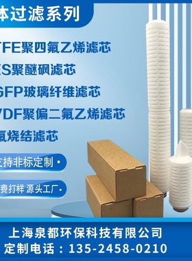 ptfe四氟折叠滤芯 pes滤芯 pvdf滤芯 四氟滤芯 定制滤芯 尼龙滤芯