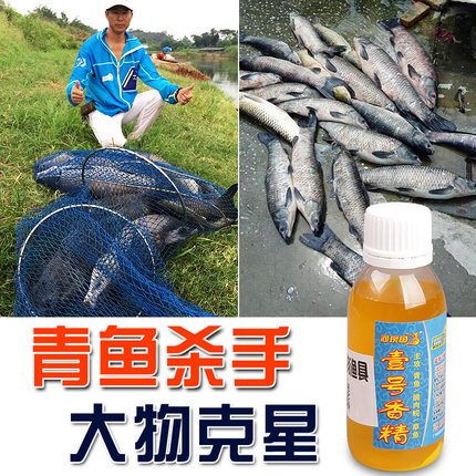 青鱼小药河坝鱼壹号香精乌青添加剂黑坑青鱼饵料黑鲩草鱼鲫鱼小药