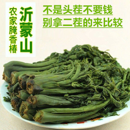 野生山东香椿芽头茬鲜嫩香椿咸菜