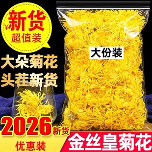 2026特级金丝皇菊一朵一杯散装金丝黄菊散装包邮另售贡菊胎菊花茶