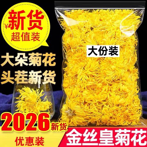 2026特级金丝皇菊一朵一杯散装金丝黄菊散装包邮另售贡菊胎菊花茶