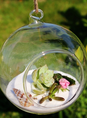 悬挂玻璃花瓶多肉植物婚庆用品