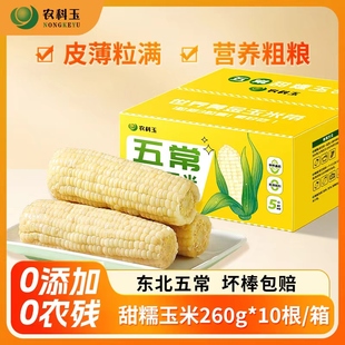 农科玉黄金鲜食玉米 独立真空包装 东北五常非转基因白甜糯玉米