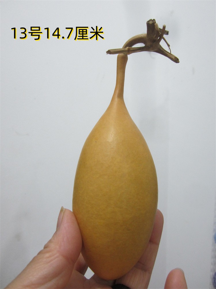 天然异形小手雷葫芦陈年老葫芦一物一图小油锤现货多图可选1-57号