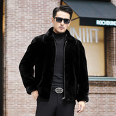 原色宝嘉美水貂整貂短款 翻领裘皮男皮草冬季 外套貂皮大衣