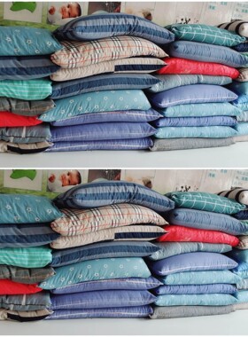 荞麦枕头单人双人家用大人荞麦皮枕芯乔麦壳枕头芯颈椎整头护颈枕