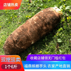 2025年新芋头福建特产福鼎正宗芋头福鼎特大槟榔芋香芋新鲜送礼