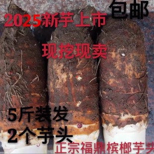 2个5斤装 新芋头正宗福鼎槟榔芋头福建特产新鲜大芋头芋艿香芋 包邮