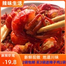 四川私房菜特产麻辣小龙虾尾香辣虾尾美食即食熟食小吃口味虾100g