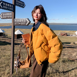 复古简约风立领短款羽绒服女2025新款小个子超好看连帽外套面包服图片