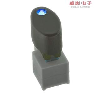 SWITCH PUSH DPDT 原装 30V TL2205EEBPBB 0.1A 正品