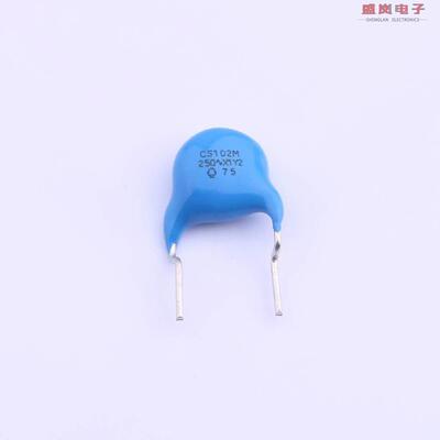 原装正品CS80-E2GA102MYNSA[等级:X1,Y2 1nF 20% 250VAC]