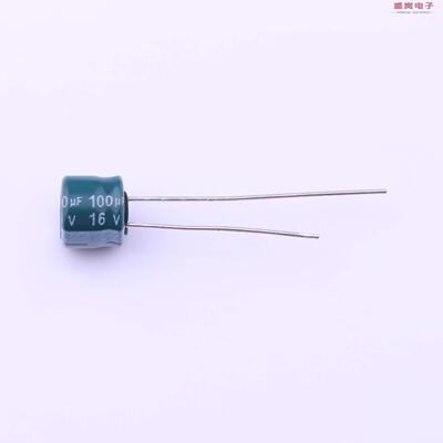 原装正品SSG101M1CBK-0605[直插铝电解电容 20% 16V -