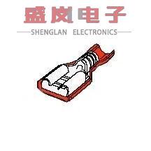 DSC NYL 19003 187X032 FREC 端子 0021 正品 原装